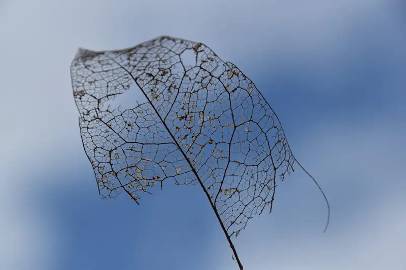 تزامن البيانات بين الفروع