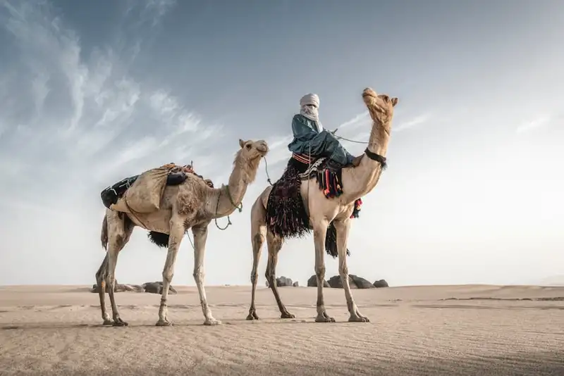 نظام العمل في السعودية