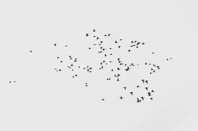 تصميم باركود