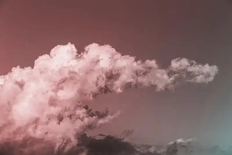 erp سحابي مقابل تقليدي