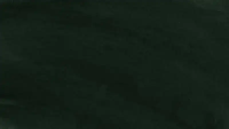 يومي مقابل Odoo