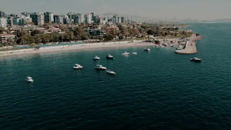 ضريبة القيمة المضافة في الخليج